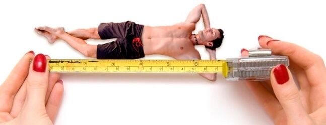 L'image symbolise la mesure du pénis masculin avant l'agrandissement