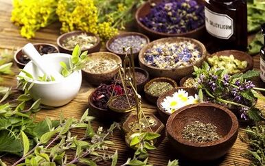 herbes pour agrandir le pénis